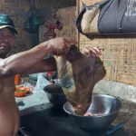 daging anjing