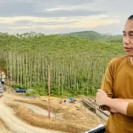 jokowi nusantara