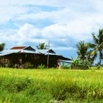 kampung