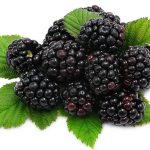 blackberry